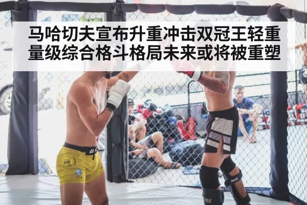 MMA fight cage